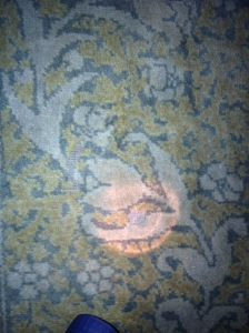 Bug damage to Morris carpet